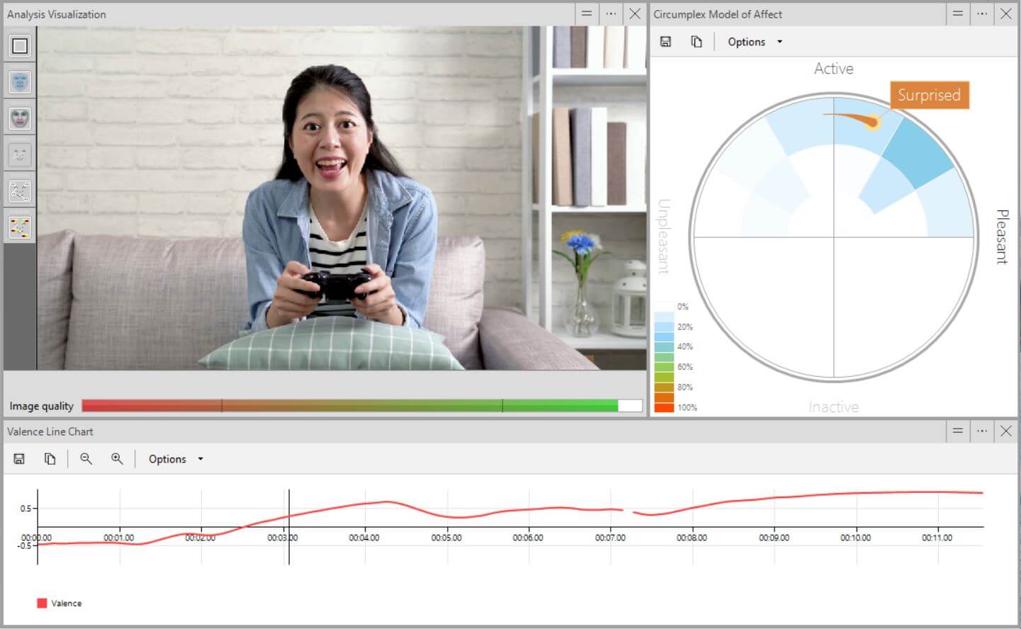 A demonstration of FaceReader software